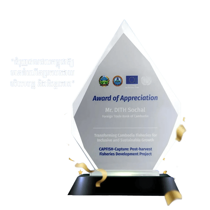 Awards & Recognition